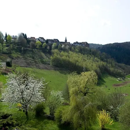 ホテル Logis Hotel-restaurant Aux Trois Roses ラ・プティット・ピエール