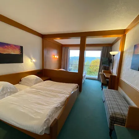 Logis Hotel-restaurant Aux Trois Roses ホテル
