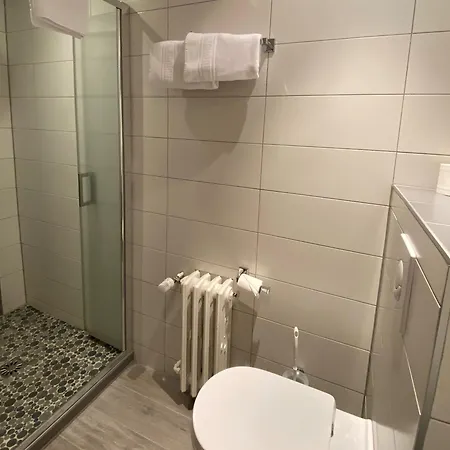 Logis Hotel-restaurant Aux Trois Roses La Petite-Pierre