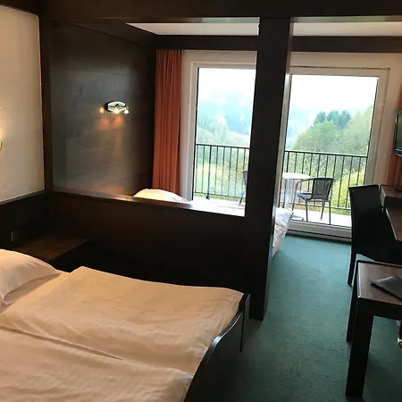 Logis Hotel-restaurant Aux Trois Roses ホテル 3*
