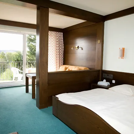 Logis Hotel-restaurant Aux Trois Roses ホテル