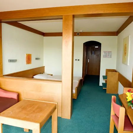 Logis Hotel-restaurant Aux Trois Roses 3*