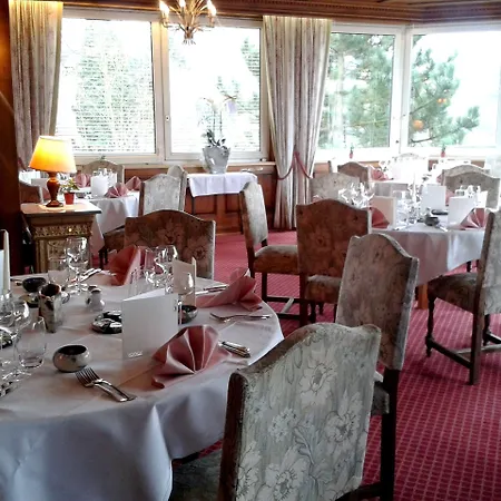 Logis Hotel-restaurant Aux Trois Roses ホテル ラ・プティット・ピエール