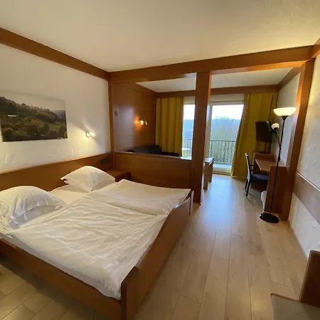 Logis Hotel-restaurant Aux Trois Roses 3*