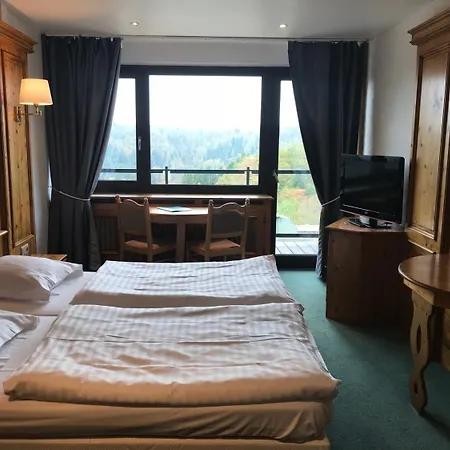 ホテル Logis Hotel-restaurant Aux Trois Roses 3*