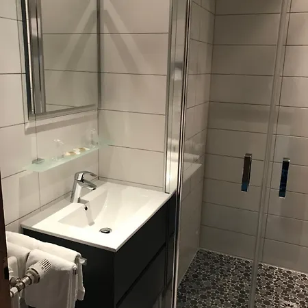 Logis Hotel-restaurant Aux Trois Roses 3*