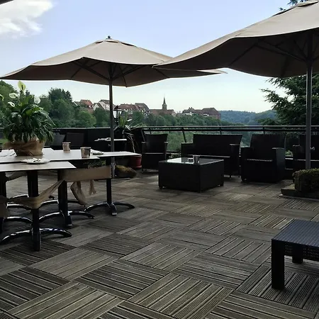 Logis Hotel-restaurant Aux Trois Roses ホテル ラ・プティット・ピエール