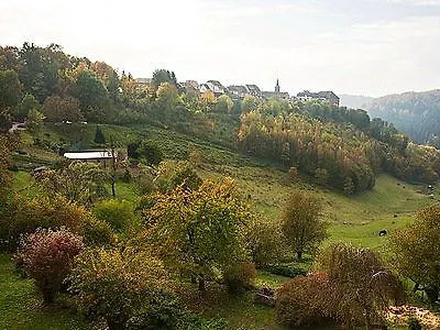 Logis Hotel-Restaurant Aux Trois Roses Hotel 3*