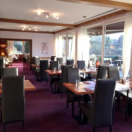 Hotel Restaurant Aux Trois Roses 3*