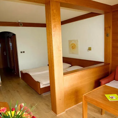 ホテル Logis Hotel-restaurant Aux Trois Roses 3*