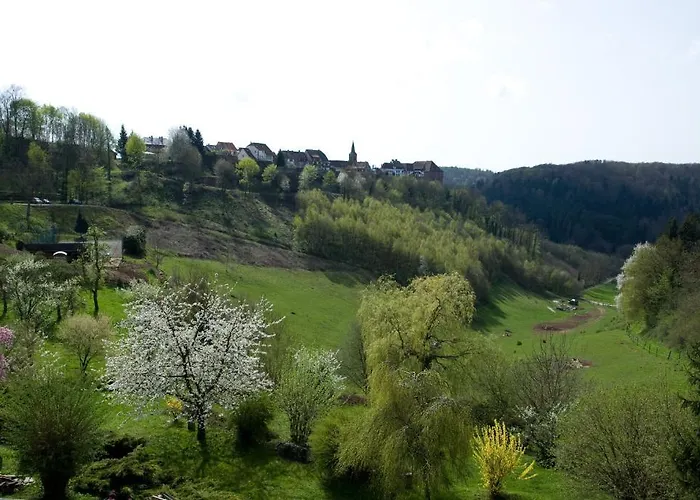 Hotel Logis Hotel-restaurant Aux Trois Roses La Petite-Pierre