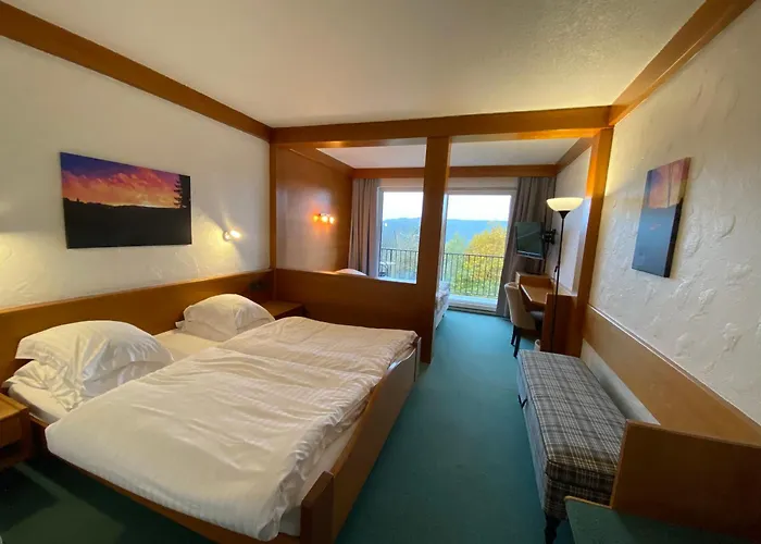 Logis Hotel-restaurant Aux Trois Roses Hotel