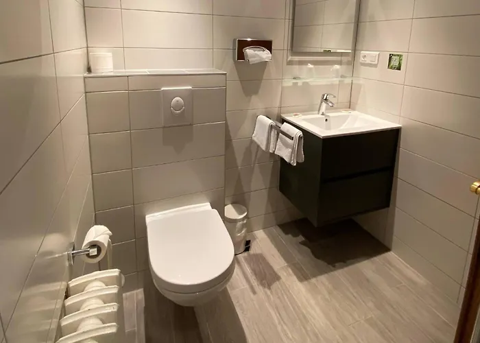 Logis Hotel-restaurant Aux Trois Roses 3* La Petite-Pierre