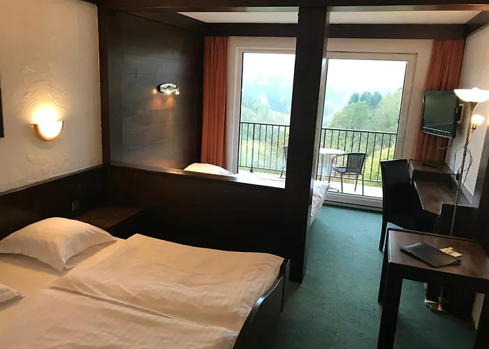 Logis Hotel-restaurant Aux Trois Roses Hotel 3*