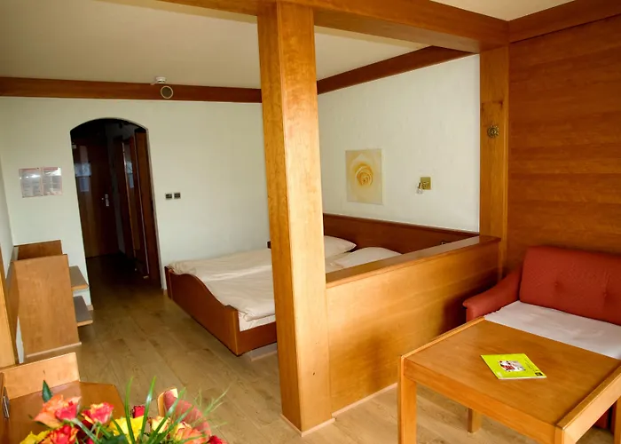 Hotel Logis Hotel-restaurant Aux Trois Roses 3*