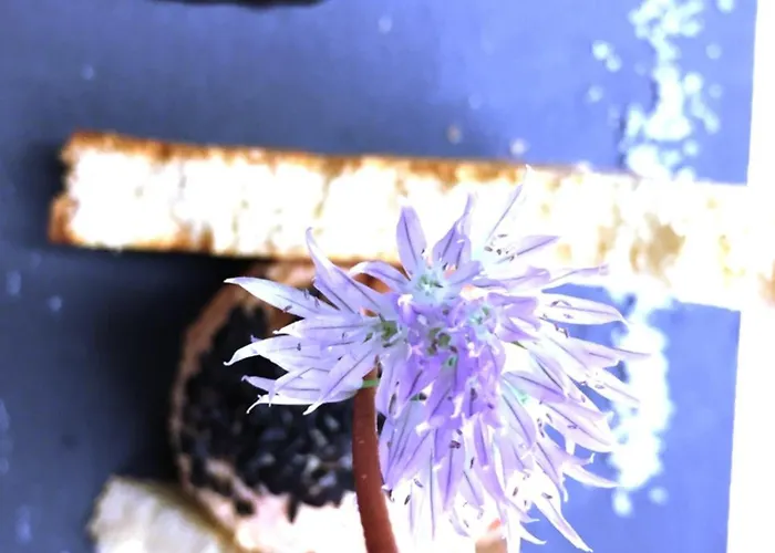 Logis Hotel-restaurant Aux Trois Roses Hotel