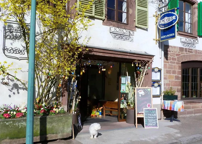 Logis Hotel-restaurant Aux Trois Roses Hotel 3*