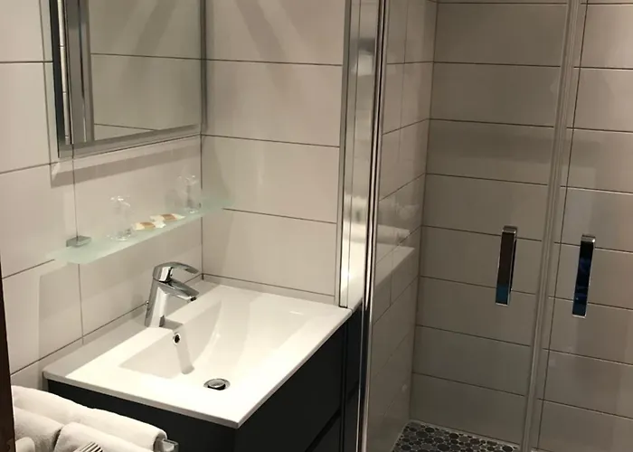 Logis Hotel-restaurant Aux Trois Roses 3*