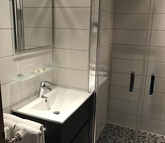 Logis Hotel-restaurant Aux Trois Roses Hotel