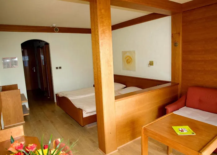 Hotel Logis Hotel-restaurant Aux Trois Roses 3*